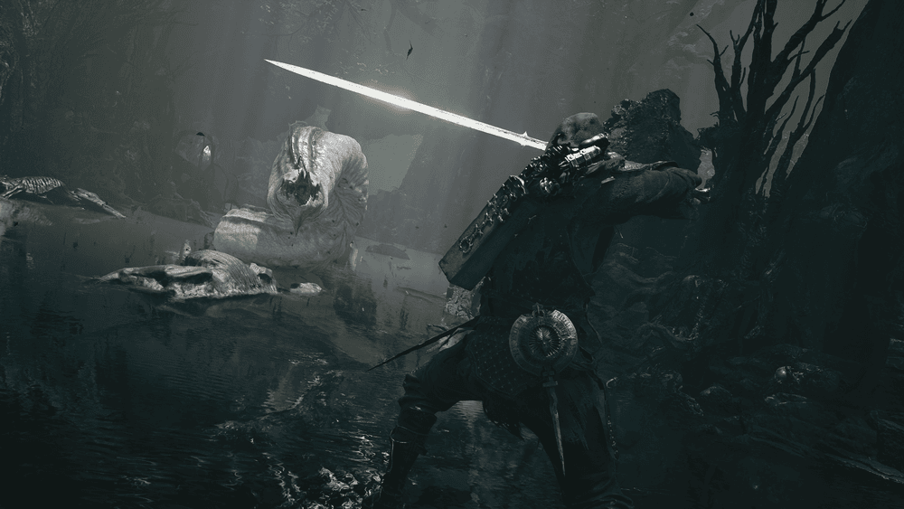 An armored warrior raises a long sword against a pale creature in shallow water amid dark rocks.